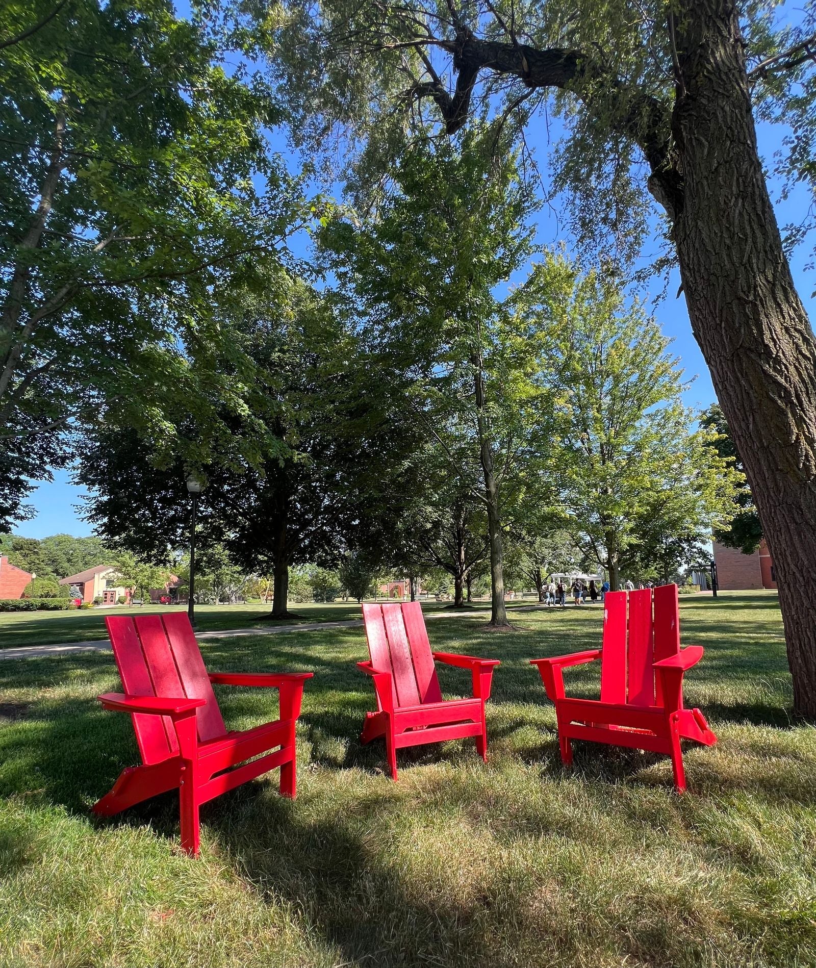 Cedar Outdoor Furniture — Adirondack chairs in a sunlit garden